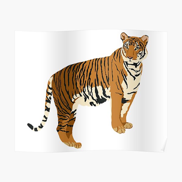 Realistic Tiger on White Background Poster