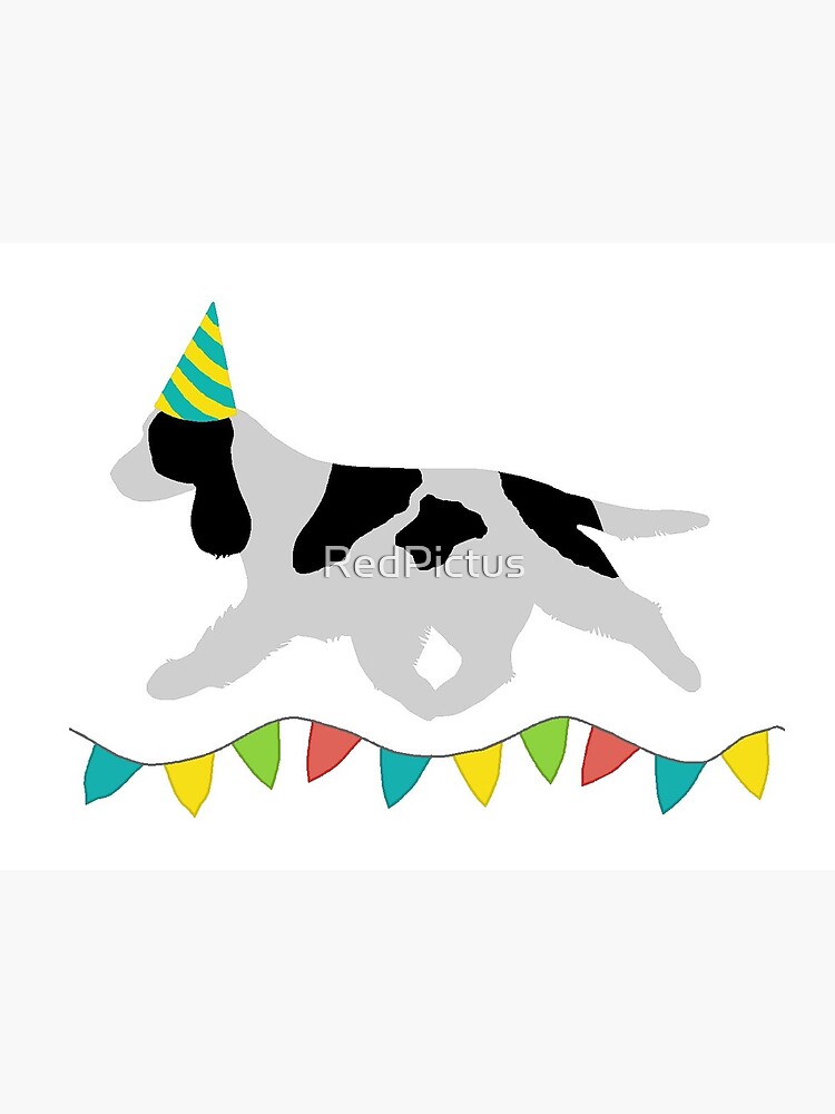 Carte De Vœux Cocker Spaniel Noir Et Blanc Carte D Anniversaire Par Redpictus Redbubble