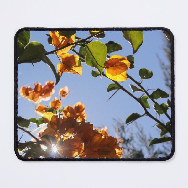 Item preview, Autumn Blooms designed and sold by Jodiemotive.