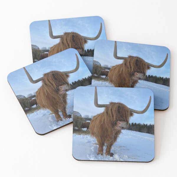 Item preview, Scottish Highland Cattle Cow 4278 designed and sold by SaarelaHighland.
