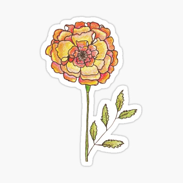 Marigold Flower Sticker Sheet — Studio Chamisa