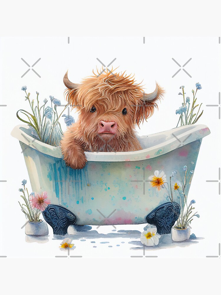 Highland Cow 2