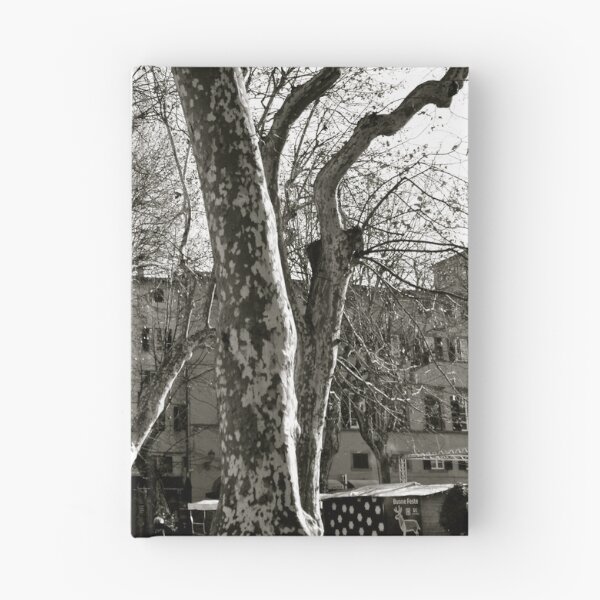 Item preview, sunny day in Lucca designed and sold by BreeFarinaPhoto.