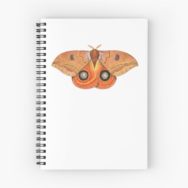 Item preview, Randa's Eyed Silkmoth (Automeris randa) designed and sold by JadaFitch.
