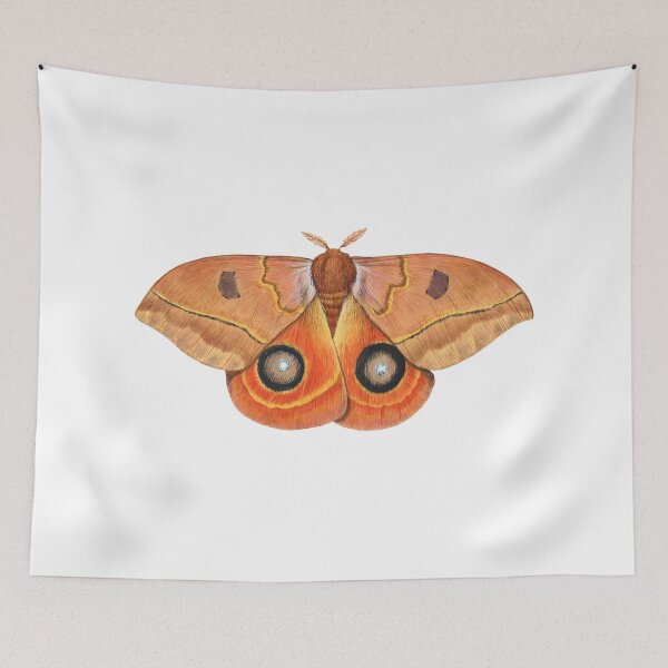 Item preview, Randa's Eyed Silkmoth (Automeris randa) designed and sold by JadaFitch.