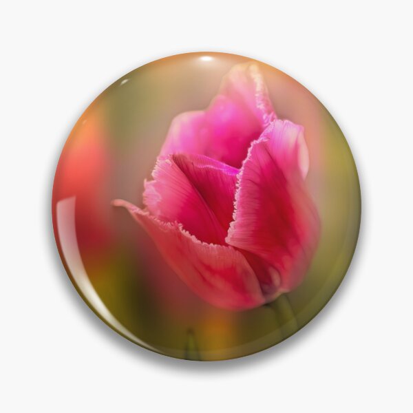 Item preview, Tulip Garden photograph designed and sold by art64.