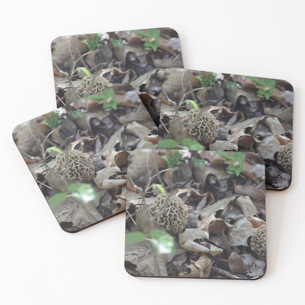 Item preview, Giant Gray Morel Mushrooms Growing out of Leaf Litter in the Woods designed and sold by Anthony Ryan Parrish.