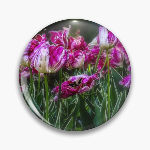 Item preview, Parrot Tulips Spring Flower Garden photograph designed and sold by art64.