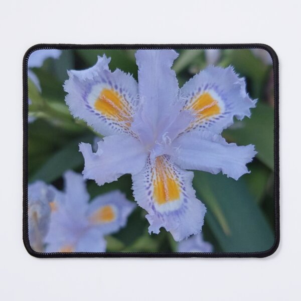Item preview, Fringed Iris designed and sold by cadeau_store.