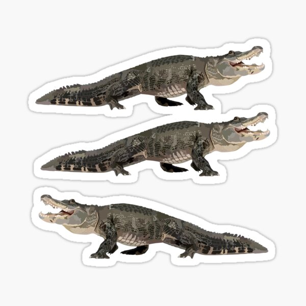 Item preview, A is for American Alligator designed and sold by thezoogirl.