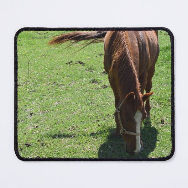 Item preview, Horse Grazing in Pasture with Tail Blowing in the Wind designed and sold by Anthony Ryan Parrish.