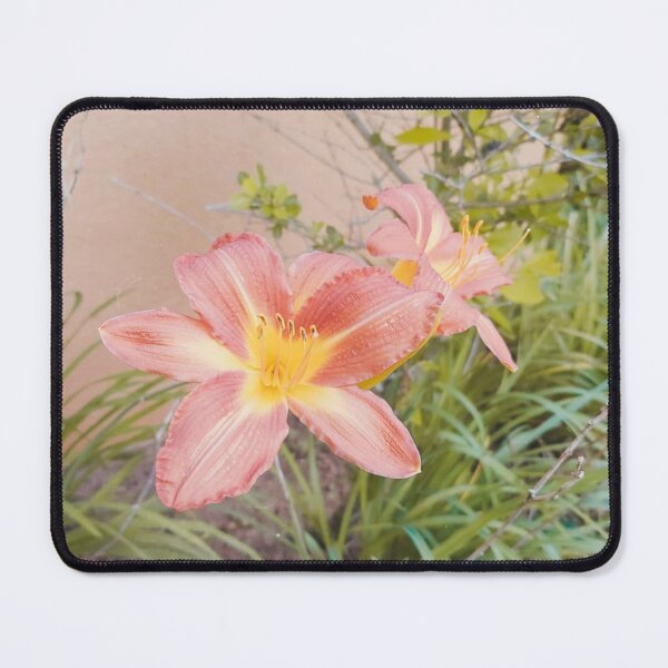 Item preview, Day Lily designed and sold by cadeau_store.