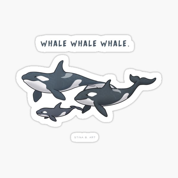 WHALE WHALE WHALE Sticker