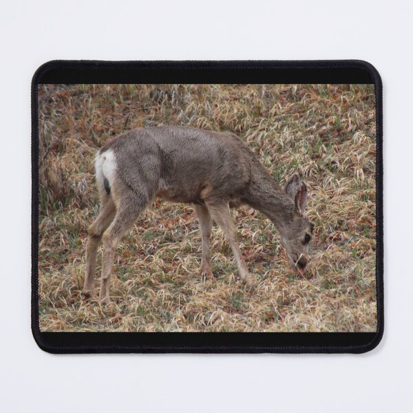 Item preview, Young Buck designed and sold by craftsbydaphy.