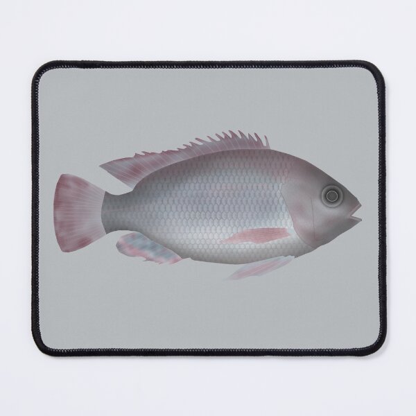 Item preview, Singida Tilapia designed and sold by fishfolkart.
