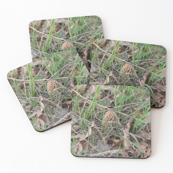 Item preview, Forest Flora Morel Mushroom Growing in Grass and Leaves in Woodlands designed and sold by Anthony Ryan Parrish.
