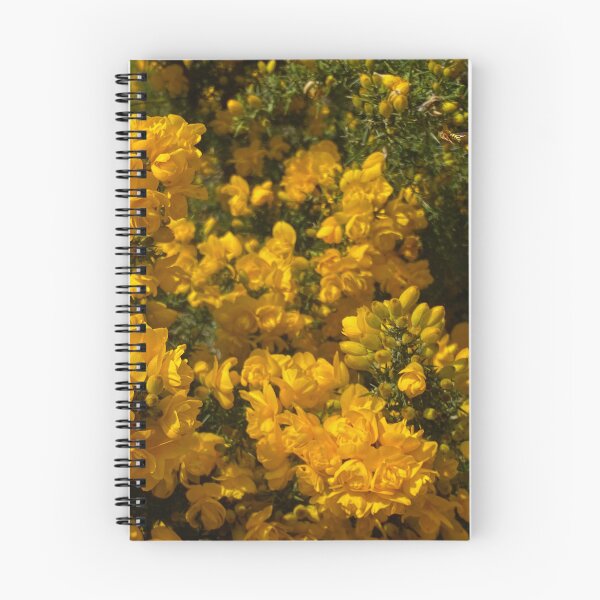 Item preview, The Gorse has flowered designed and sold by Paddyb17.