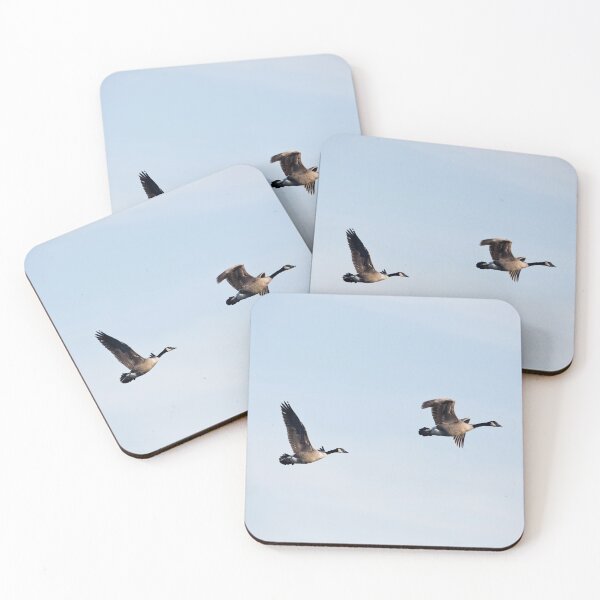 Item preview, Two Canadian geese flying designed and sold by KRFNatureGifts.