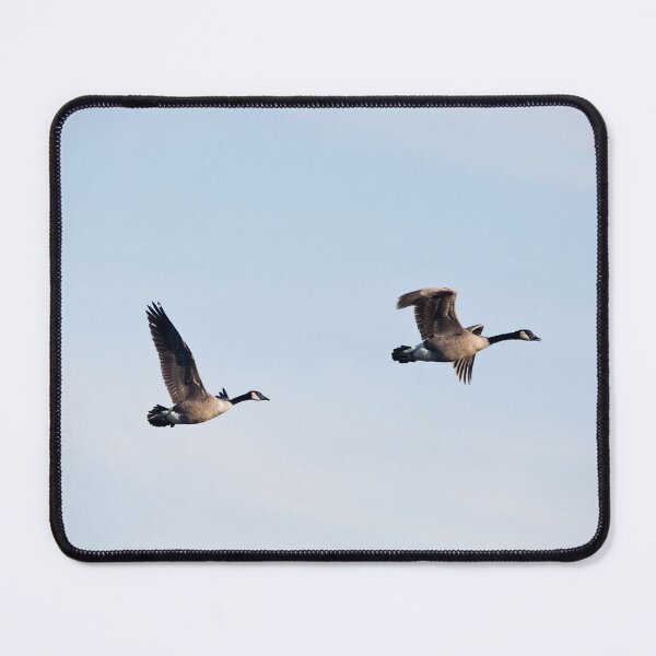 Item preview, Two Canadian geese flying designed and sold by KRFNatureGifts.