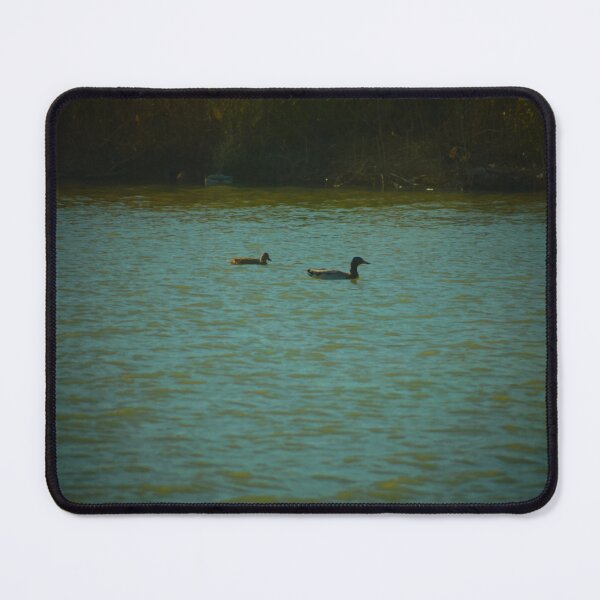 Item preview, Duck Town designed and sold by Melanie Uadjit.