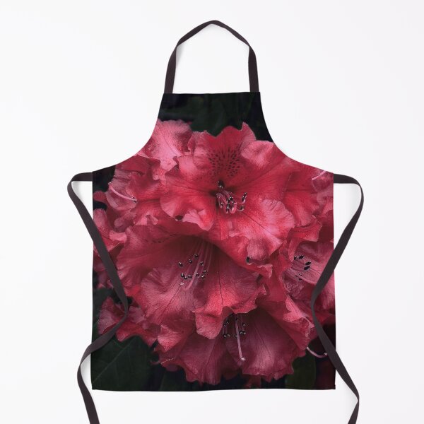 Item preview, First Rhody designed and sold by Steve Walser.