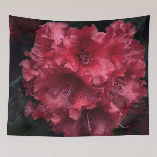 Item preview, First Rhody designed and sold by Steve Walser.