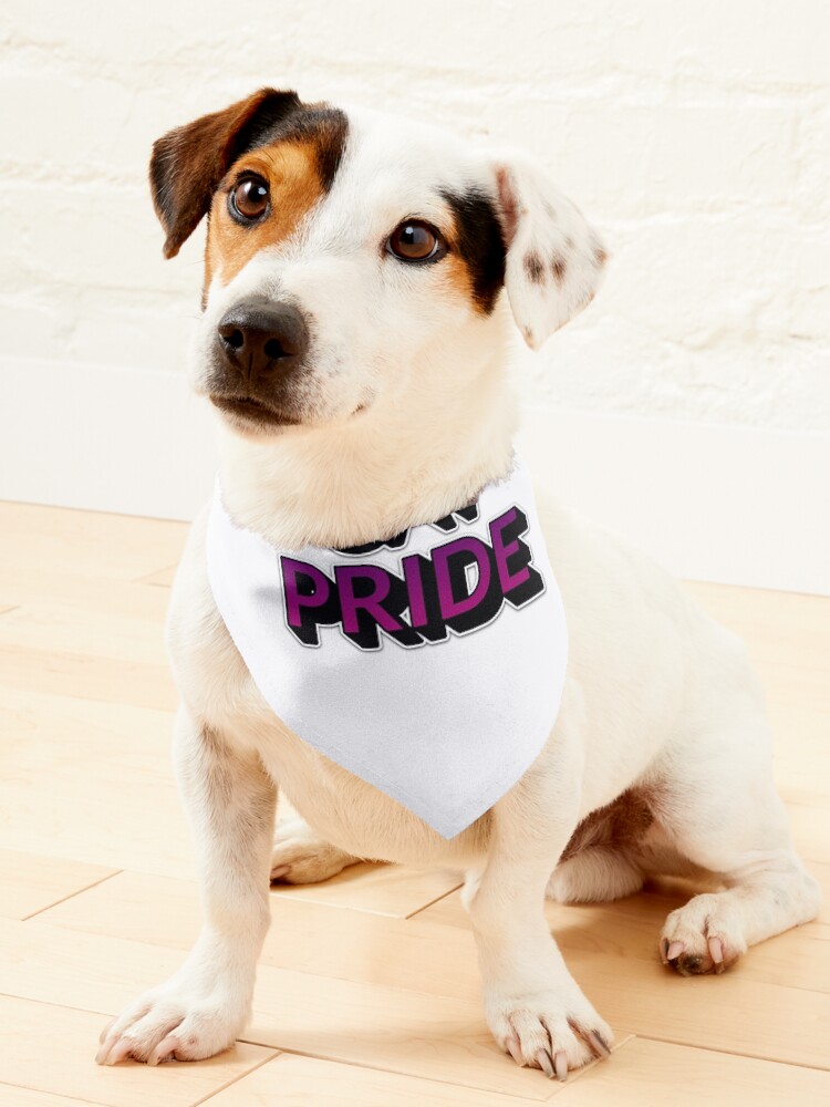 Gay pride dog bandana best sale