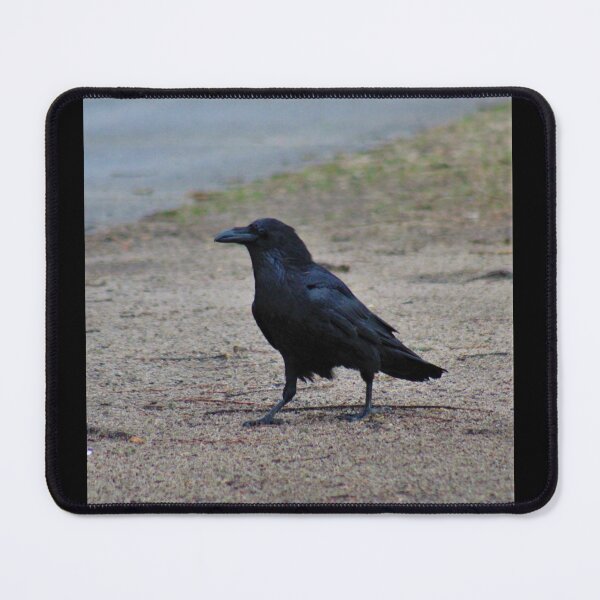 Item preview, Raven Strut designed and sold by craftsbydaphy.