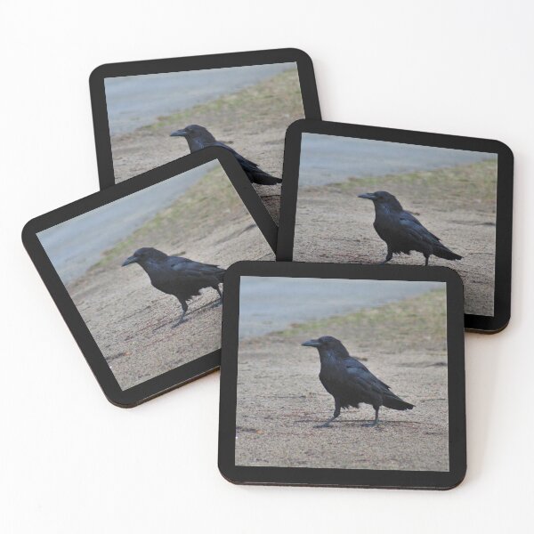 Item preview, Raven Strut designed and sold by craftsbydaphy.
