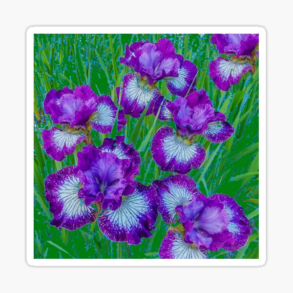 Item preview, PURPLE SIBERIAN IRIS FLOWERS ART designed and sold by sharlesart.