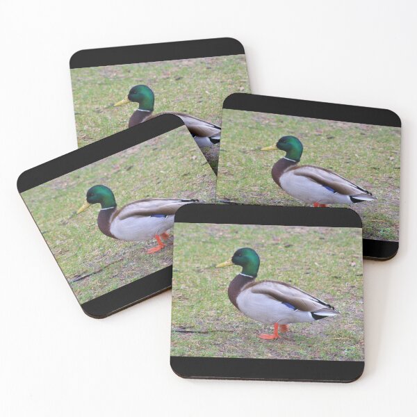 Item preview, Colorful Mallard designed and sold by craftsbydaphy.