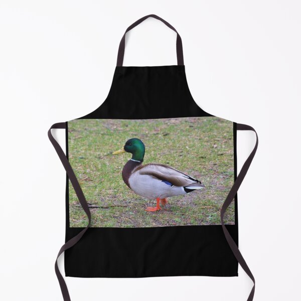 Item preview, Colorful Mallard designed and sold by craftsbydaphy.