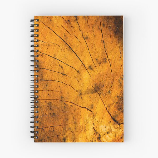 Item preview, Tree trunk cracks detail vertical designed and sold by eddiebarronshop.