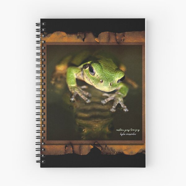 Item preview, Mr. Frog designed and sold by UffdaGreg.