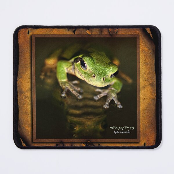 Item preview, Mr. Frog designed and sold by UffdaGreg.
