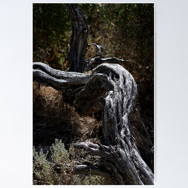 Item preview, Gnarled designed and sold by GerryMac.