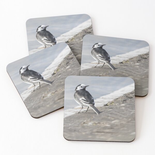 Item preview, Pied Wagtail designed and sold by LaurenTucker.