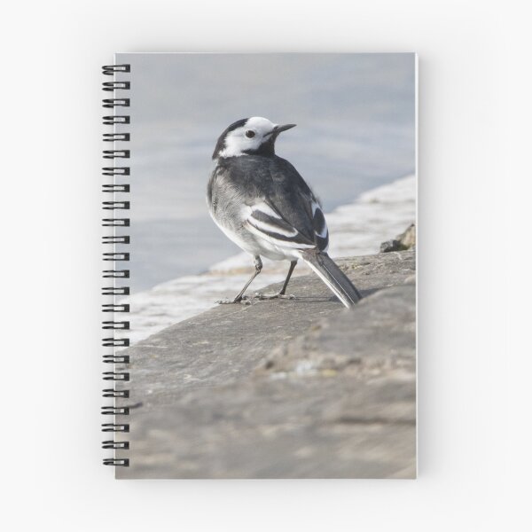 Item preview, Pied Wagtail designed and sold by LaurenTucker.