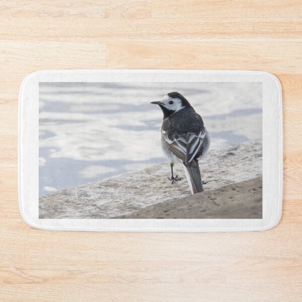 Item preview, Pied Wagtail designed and sold by LaurenTucker.