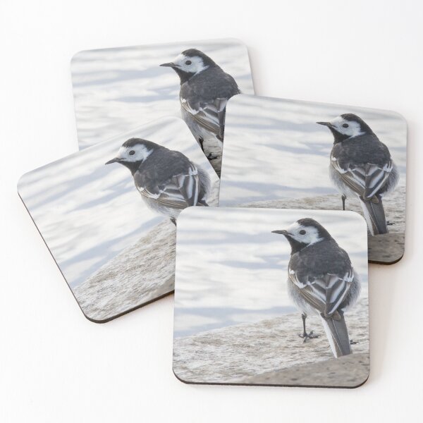 Item preview, Pied Wagtail designed and sold by LaurenTucker.
