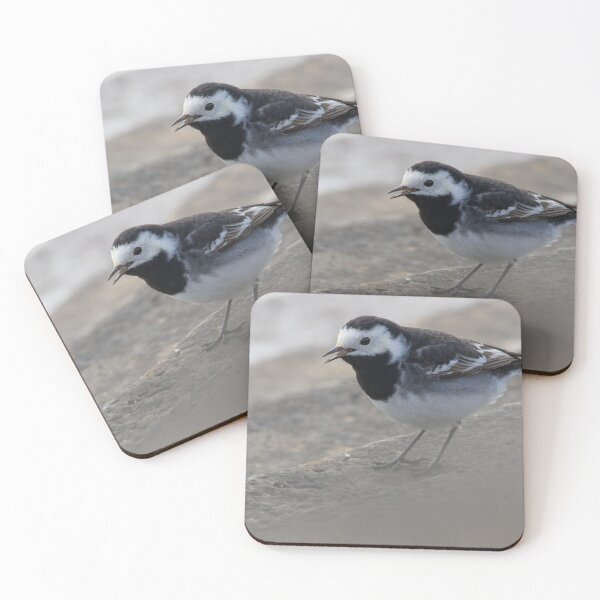 Item preview, Pied Wagtail designed and sold by LaurenTucker.