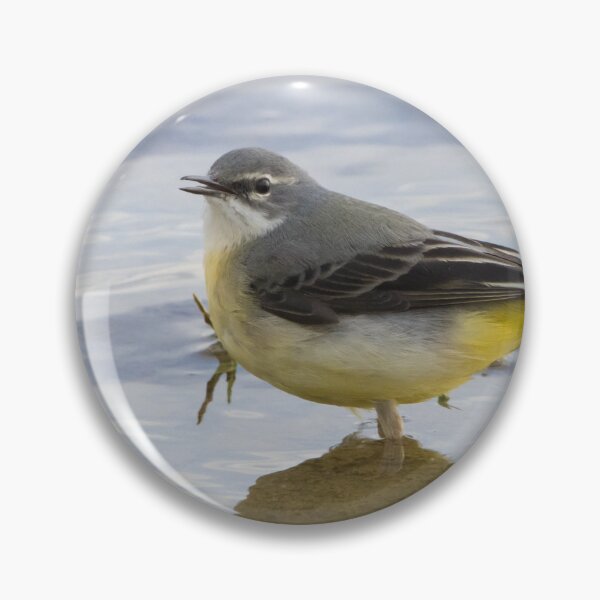 Item preview, Grey Wagtail designed and sold by LaurenTucker.