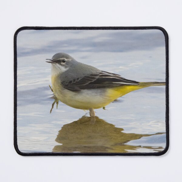 Item preview, Grey Wagtail designed and sold by LaurenTucker.