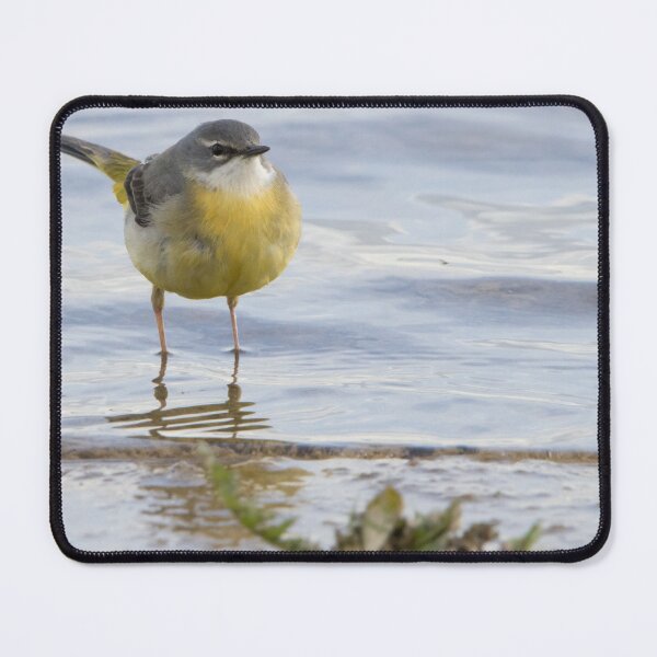 Item preview, Grey Wagtail designed and sold by LaurenTucker.