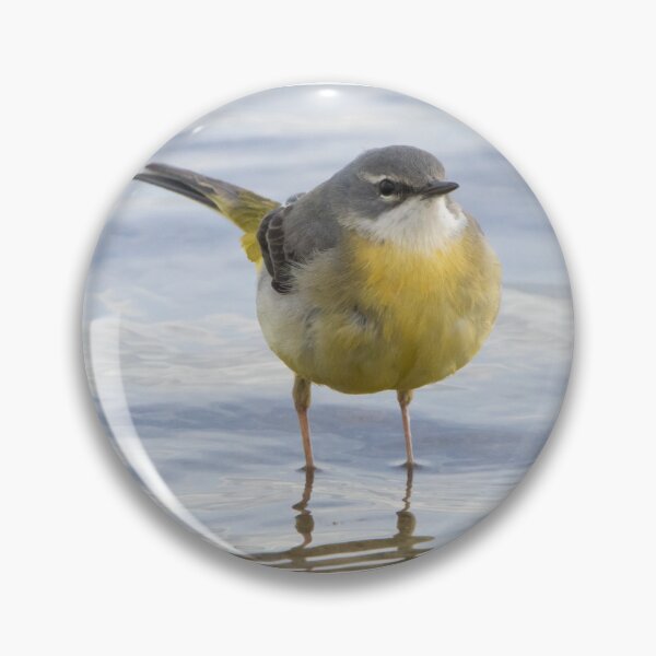 Item preview, Grey Wagtail designed and sold by LaurenTucker.