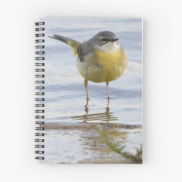 Item preview, Grey Wagtail designed and sold by LaurenTucker.