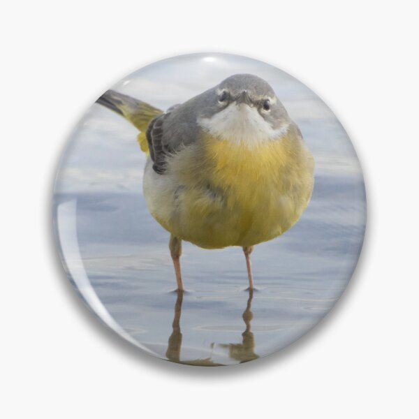 Item preview, Grey Wagtail designed and sold by LaurenTucker.