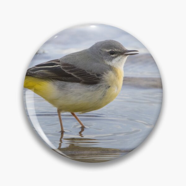 Item preview, Grey Wagtail designed and sold by LaurenTucker.