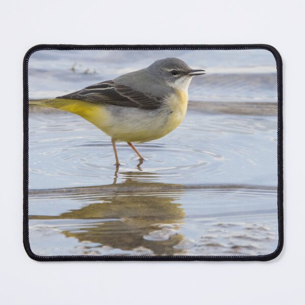 Item preview, Grey Wagtail designed and sold by LaurenTucker.