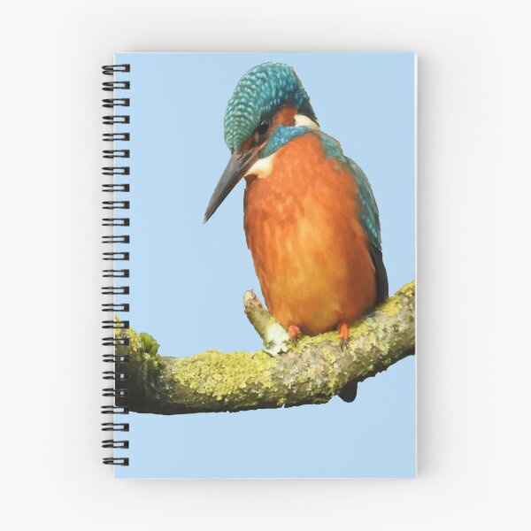 Item preview, Stunning Brightly Colored River Bird Vector Art designed and sold by taiche.